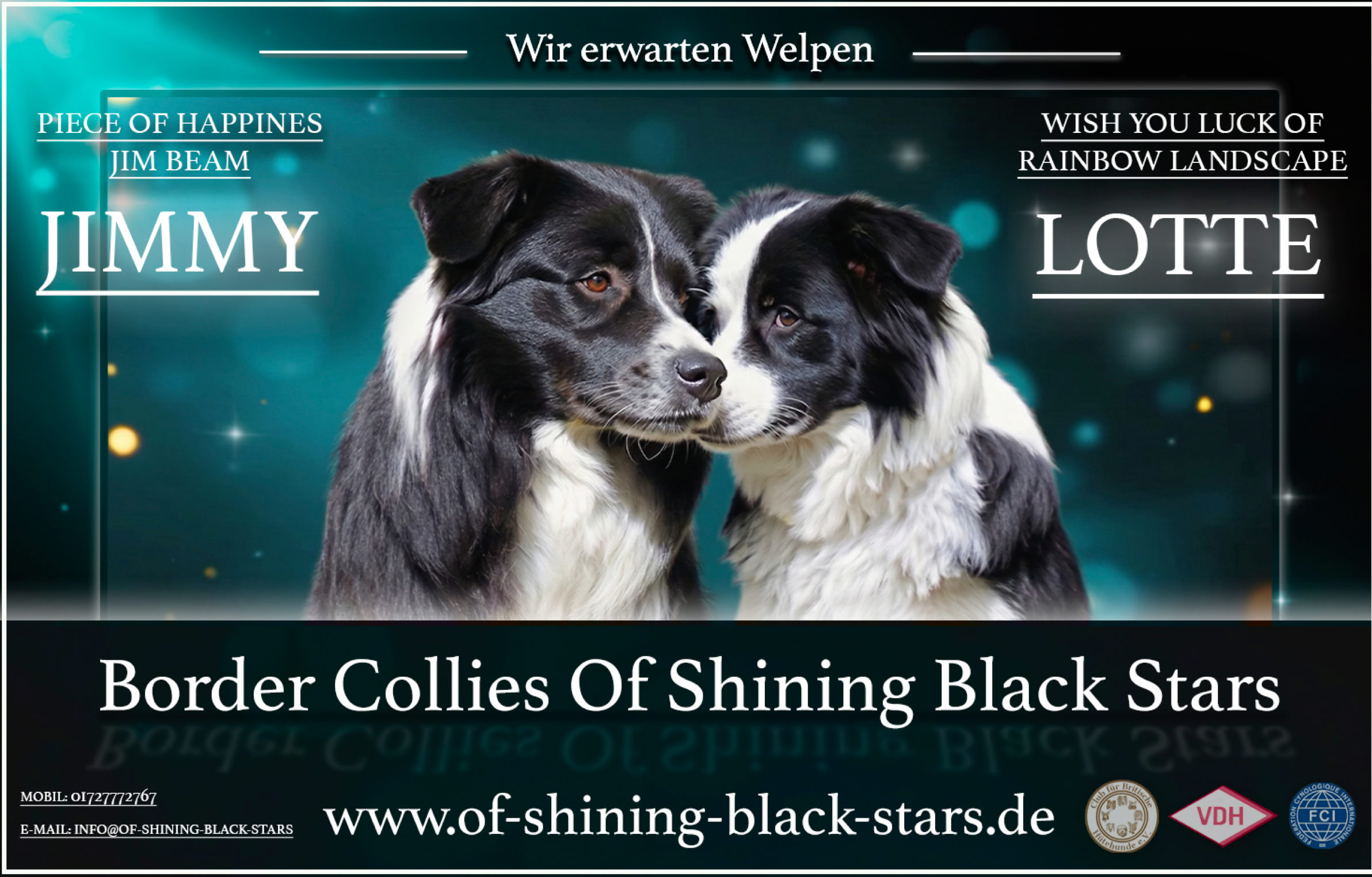 Zwei Border Collies stehen nebeneinander vor einem blauen Hintergrund mit Sternen. Oben sind die Namen "Jimmy" und "Lotte" zu sehen. Unten steht "Border Collies Of Shining Black Stars" und eine Website-Adresse.