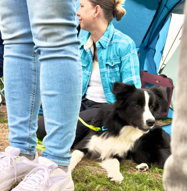 Eine Person in blauer Jacke sitzt auf dem Boden neben einem schwarz-weißen Hund, umgeben von anderen Personen und einem Zelt.