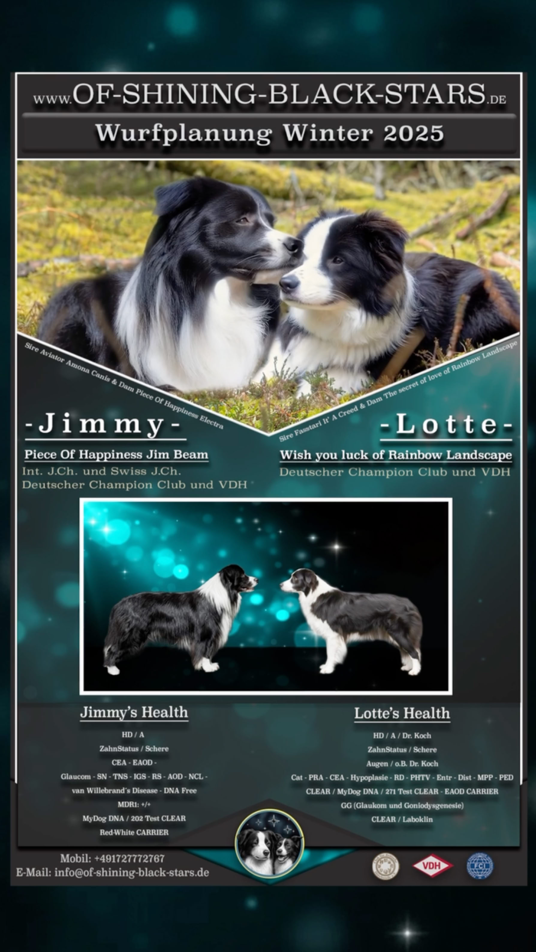 Zwei Hunde, die sich gegenüberstehen, mit Text über Wurfplanung Winter 2023. Unten sind zwei weitere Bilder von Hunden mit Namen und Informationen.