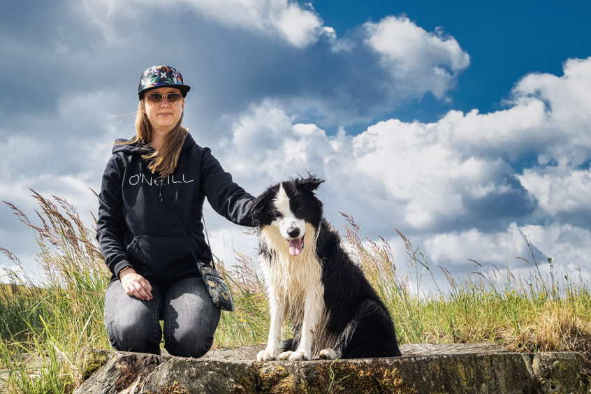 Boder Collie sitz am Strand Elbe bei Stove